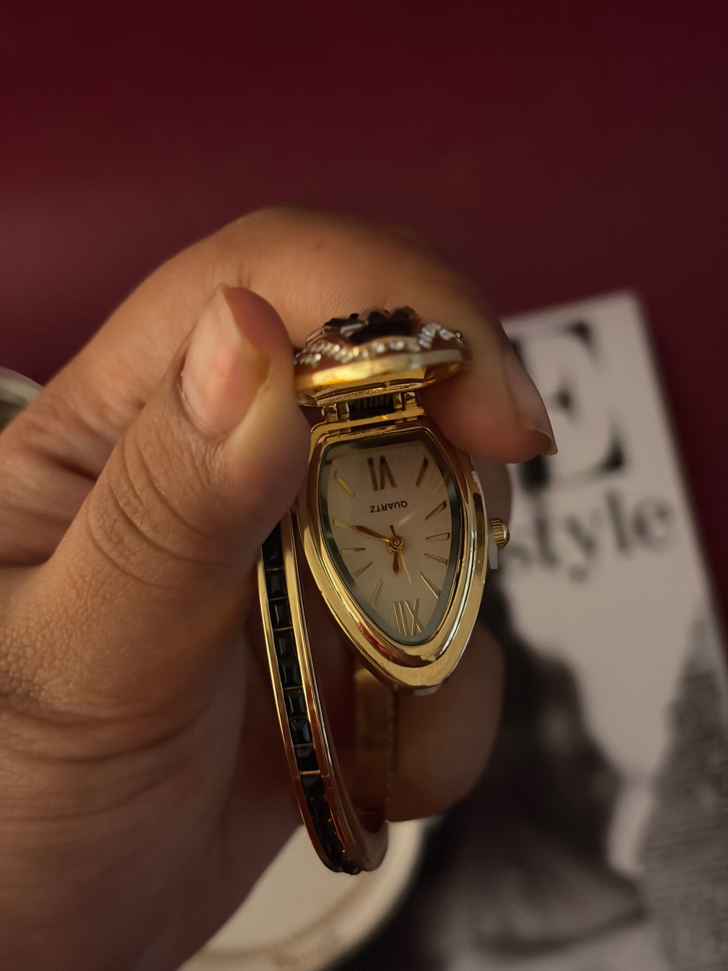 Midnight hidden dial snake watch