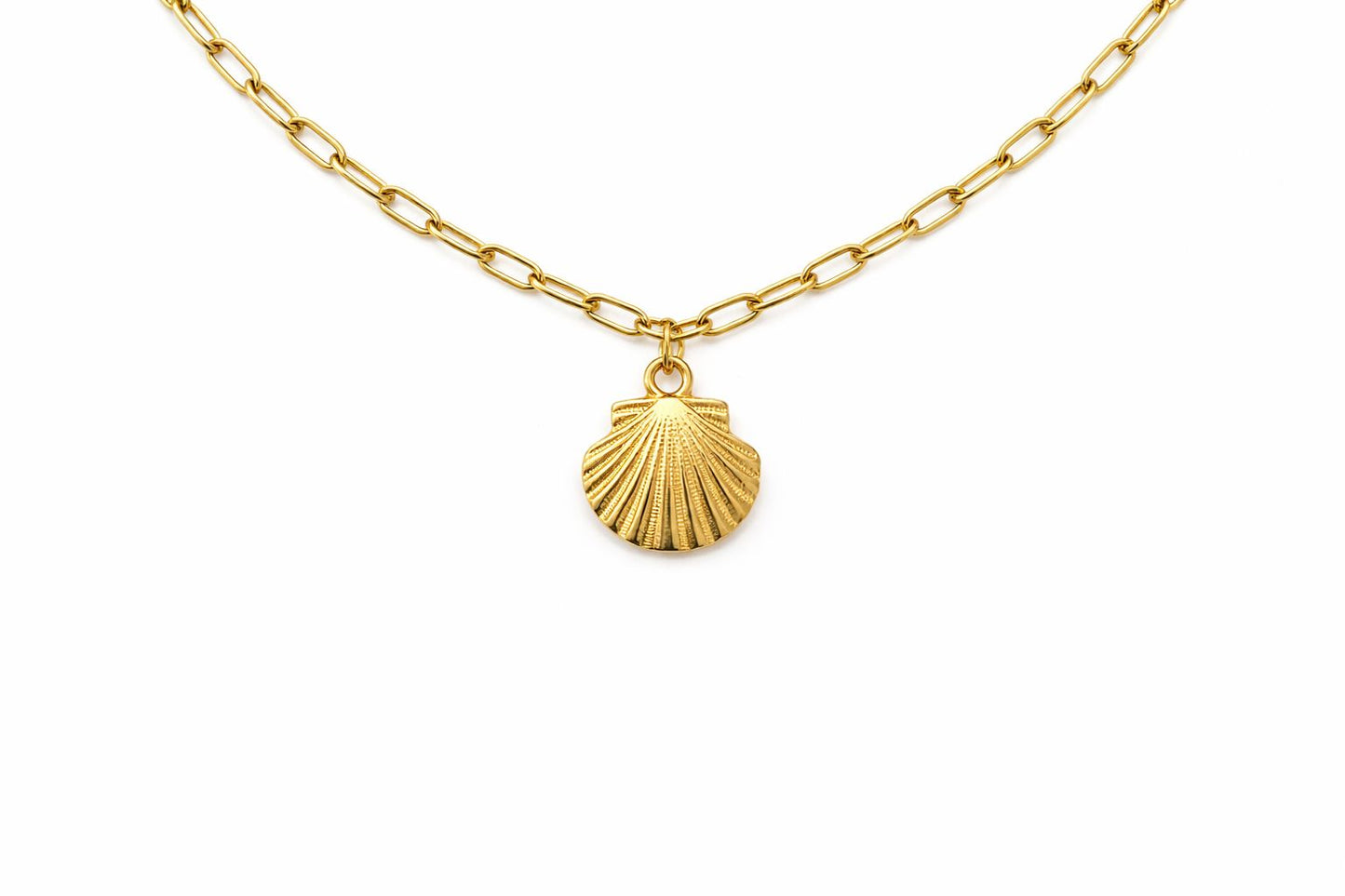 Paperclip shell necklace