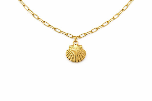 Paperclip shell necklace